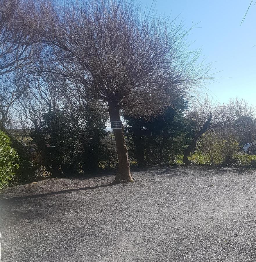 Mountain View Apartment - Short Drive To Beaches Bryngwran Exterior foto